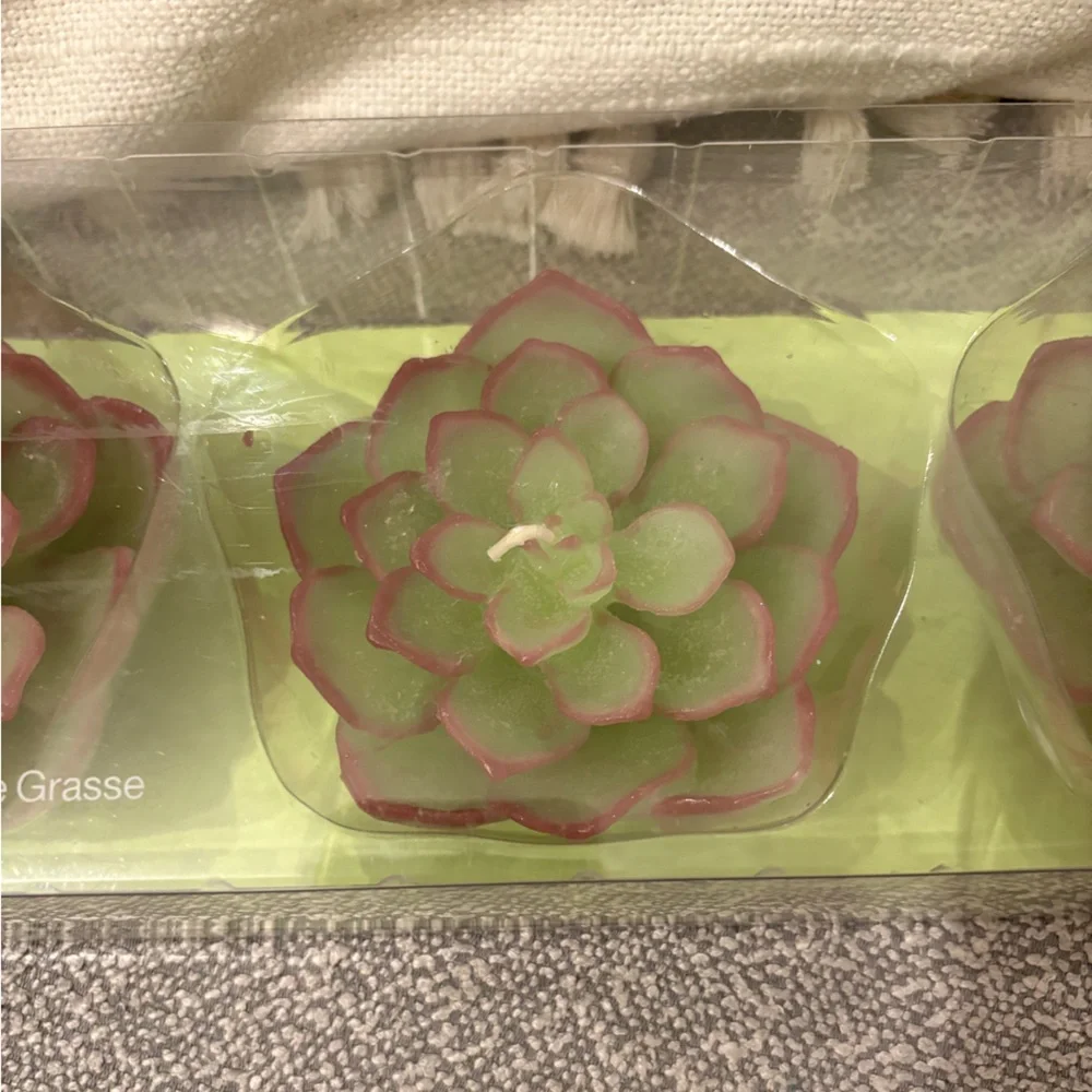 Crate&Barrel succulent floating